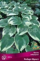Хоста гибридная Роберт Фрост Хоста гибридная Роберт Фрост