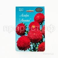Астра Помпонная красная Анита 20 0,5 Каприс