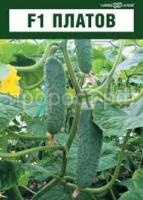 Без названия Без названия