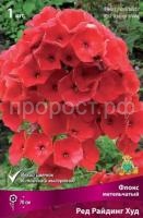 Флокс метельчатый Ред Райдинг Худ