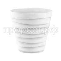 Бархан белый Бархан белый