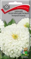 Цинния георгиноцветковая Полярный медведь Цинния георгиноцветковая Полярный медведь