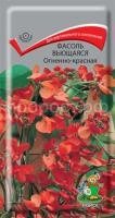 Фасоль вьющаяся Огненно-красная Фасоль вьющаяся Огненно-красная