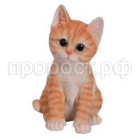 котенок рыж котенок рыж