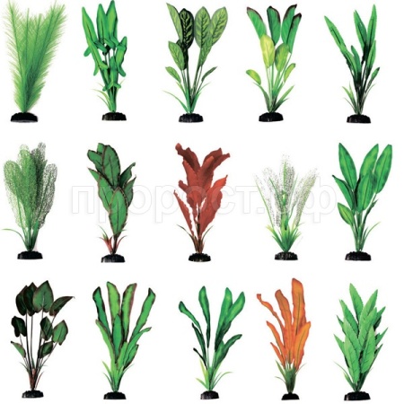 Шелковое растение 50см Plant MIX 071/BARBUS