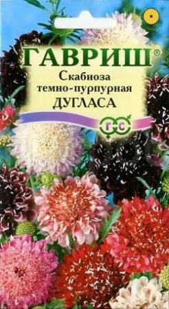 Скабиоза темнопурпурная Дугласа смесь 0,2г 