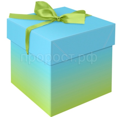 Коробка складная подарочная "Duotone. Blue-Green gradient" (15*15*15см) с лентой MESHU /Рельеф