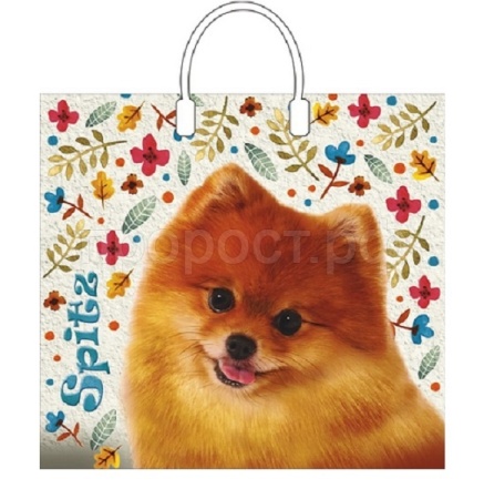Пакет подарочный 37*34 Шпиц мягкий пластик 80мк Пакет подарочный 37*34 Шпиц мягкий пластик 80мк