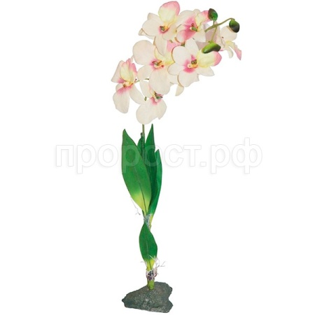Растение LUCKY REPTILE Orchid white белое 40см (Германия) IF-09