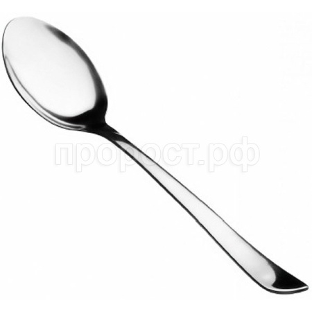 Ложка столовая (6шт) нерж. 0,2мм КТ-098-ЛС-6