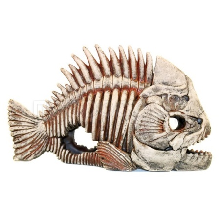 Грот Декси Скелет рыбы 903 33*14*22см/250833/АП