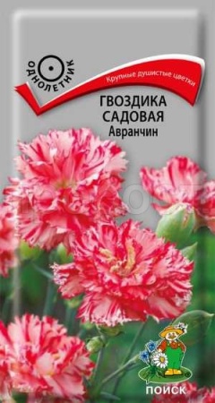 Гвоздика садовая Авранчин 0,1г Гвоздика садовая Авранчин 0,1г