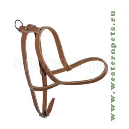 Шлейка кожа Средняя 50-58см/401