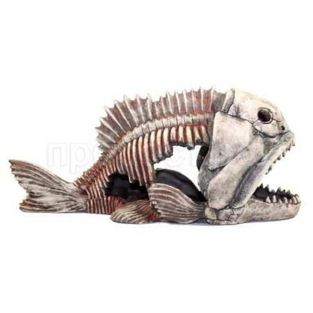 Грот Декси Скелет рыбы 904 44*17*20см/250840/АП