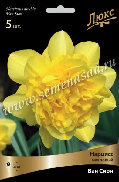 Нарцисс Махровый Ван Сион* (густомахровый, ярко-жёлтый, 3шт, 12/14) 833066