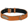 Ошейник кожа 30мм с пластиной на фетре Н/У 60-65см/41394