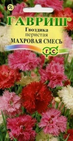 Гвоздика махровая Сказка смесь 0,1г  Гвоздика махровая Сказка смесь 0,1г