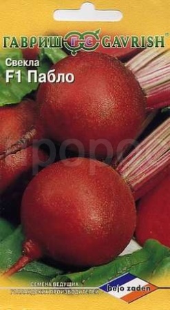 Свекла Пабло F1 1,0г Свекла Пабло F1 1,0г