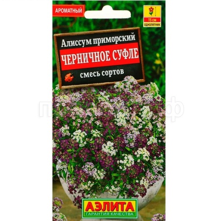 Алиссум Черничное суфле, смесь окрасок 0,05г