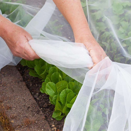 Спанбонд "PROROST" плотность 60мкр белый  размер 3,2*10м