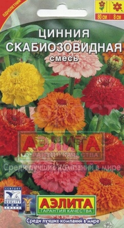 Цинния Скабиозовидная смесь