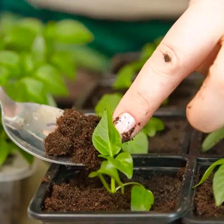 Грунт TERRA VITA Живая Земля Фиалка-кампанула-папоротник 5л Грунт TERRA VITA Живая Земля Фиалка-кампанула-папоротник 5л