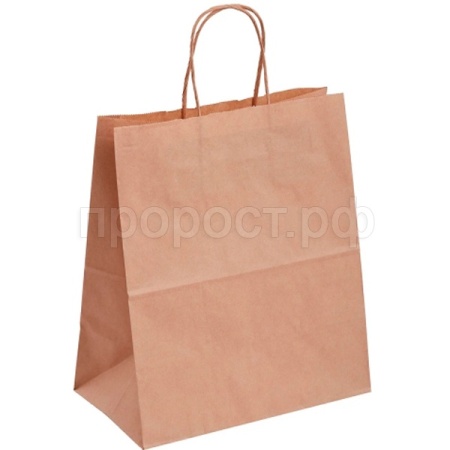 БУМ61096 Пакет 240*140*280мм бумажный с кручеными ручками крафт 70 /250шт/