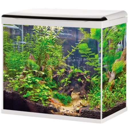 Аквариум 058 LED+top Filtr 50л белый/BARBUS