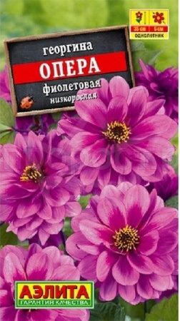 Георгина Опера фиолетовая 7шт