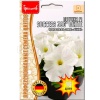 Петуния крупноцв. драже SUCCESS 360° White F1 10шт. Петуния крупноцв. драже SUCCESS 360° White F1 10шт.
