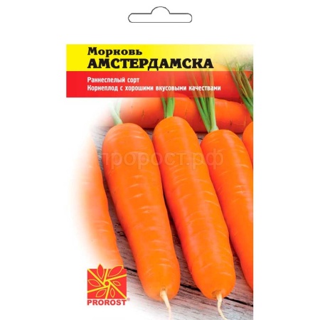 Морковь Амстердамска 2г