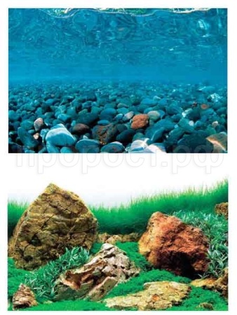 Фон для аквариума Горная река/Зеленое море 30*62см/BACKGROUND 019/Салекс