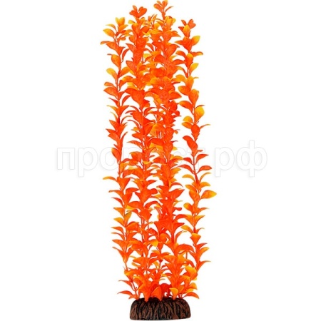 Растение Людвигия оранжевое 400мм/74044059/Триол
