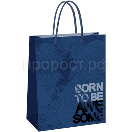 Пакет подарочный 26*32*12см "Awesome" крафт MESHU/Рельеф Пакет подарочный 26*32*12см "Awesome" крафт MESHU/Рельеф